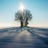 Федор-поминальник: как прогонять мертвецов 8 февраля