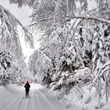 Златоустьев огонь: 9 февраля верующие вспоминают новомучеников