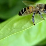 Аномальная погода 