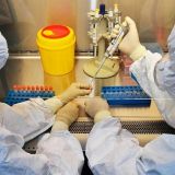 Создали в лаборатории: названо место появления коронавируса