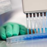 Узнать за пять минут: создан уникальный тест на коронавирус