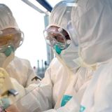 Хантавирус: человечество атаковала новая зараза