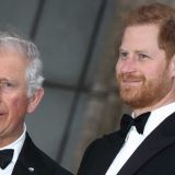 Принца Гарри мучат угрызения совести из-за больного коронавирусом отца