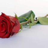 Жених решил взять измором строптивую участницу шоу 