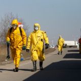 Коронавирус: последние новости сегодня, 5 апреля 2020 года