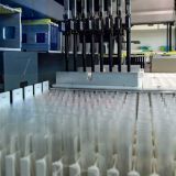 В США создали искусственный вирус для борьбы с COVID-19