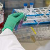 Ученые нашли безопасное лекарство от коронавируса