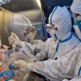 Назван единственный способ победить коронавирус в мире