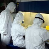 Вскрылись данные о чудовищных опытах США на Украине