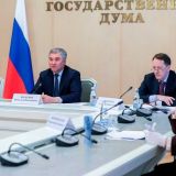 Володин предложил проработать вопрос об увеличении страховых выплат