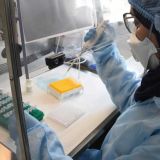 Ученые из Австралии рассказали о механизмах действия 