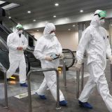 Ученые назвали эффективный способ победить коронавирус