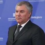 Володин рассказал о новых мерах поддержки граждан и бизнеса