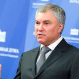 Володин поручил депутатам взять на контроль оказание помощи гражданам и бизнесу