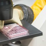 Эпидемиолог о разработке вакцины от коронавируса: Выброшенные на ветер деньги