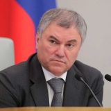 Володин: Дума приняла 29 законов для борьбы с последствиями коронавируса