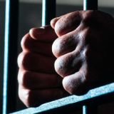 Небо в клеточку: что ждет на зоне алкоголика-убийцу Ефремова 