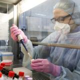 Коронавирус в России: за сутки выявлено 7 790 зараженных