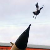 Хвастливым украинцам пригрозили ответным ударом