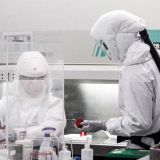 Глава ВОЗ: Темпы пандемии продолжают ускоряться