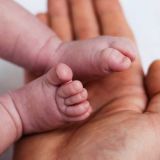 У Михалкова родился сын