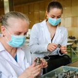 Коронавирусом в России заразились более 946 тысяч человек