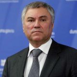 Вячеслав Володин: за ЧП с Алексеем Навальным могут стоять иностранные государства