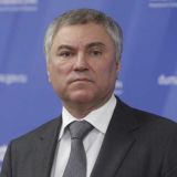 Володин поручил доработать проект закона о поиске людей по геолокации