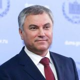Володин дал высокую оценку трехдневному голосованию на ЕДГ-2020