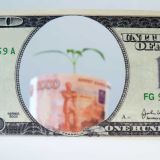 Эксперты о состоянии российской экономики после карантина: Рост бюджетных доходов обеспечат налогами