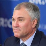 Володин отметил потенциал БРИКС в борьбе с коронавирусом