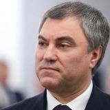 Володин призвал не спешить при рассмотрении поправок об изъятии детей из семьи