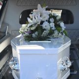 Кладбище оцепят на время секретных похорон Жванецкого