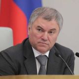 Володин запретил комитетам обсуждать резонансные темы заочно