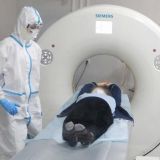 Вирусологи поддержали 