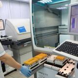 Спасли миллион человек: эпидемиологи высоко оценили эффективность ПЦР-тестов