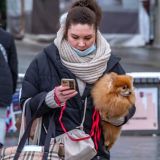 Вирусолог о закрытии нарушивших санитарную безопасность компаний в Москве: Нужны самые строгие меры