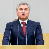 Володин: Закон о номере 