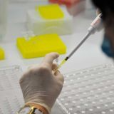 Ученые заявили об опасности южноафриканского штамма COVID-19: Необходима переработка вакцин