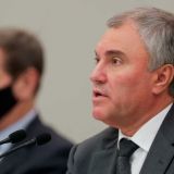 Володин осудил вовлечение детей в незаконные митинги