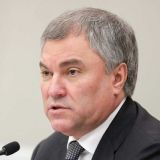 Володин предложил председателю ПАСЕ позаботиться о здоровье европейцев