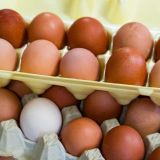 В России подорожали курица и яйца