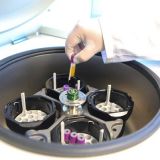 Стало известно о формировании двух 