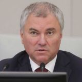 Володин призвал бизнес подключиться к кампании по вакцинации