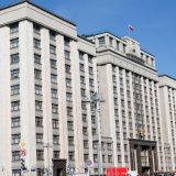 Дума обсудит с правительством ограничения для пальмового масла