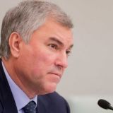 Володин поддержал предложение Золотова об ужесточении оборота оружия