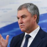 Володин назвал пустой декларацией статью конституции Украины о защите языков