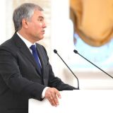 Володин рассказал о принятых в поддержку семей законах