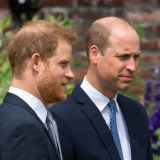 Оплеванный памятник принцессе Диане вызвал гордость у ее сыновей