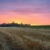 День Михея Тиховея: народные приметы на 27 августа